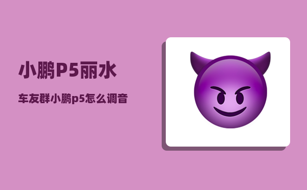 小鹏P5丽水车友群_小鹏p5怎么调音乐音效-图1