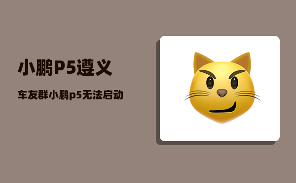 小鹏P5遵义车友群_小鹏p5无法启动-图1