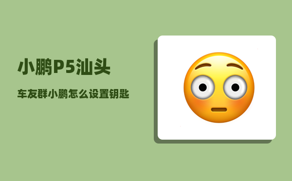 小鹏P5汕头车友群_小鹏怎么设置钥匙离开自动上锁-图1