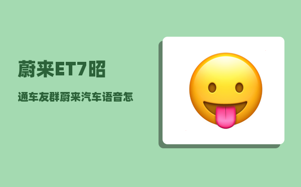 蔚来ET7昭通车友群_蔚来汽车语音怎么呼叫-图1