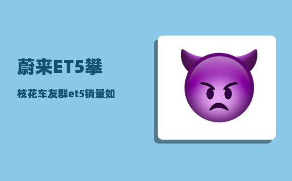 蔚来ET5攀枝花车友群_et5销量如何-图1