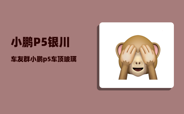 小鹏P5银川车友群_小鹏p5哪边是快充-图1