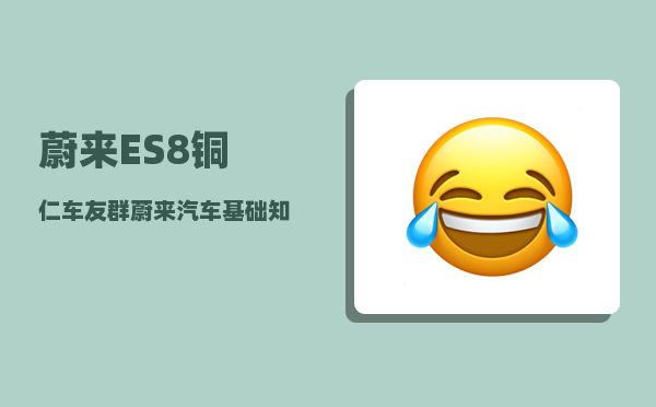 蔚来ES8铜仁车友群_蔚来汽车基础知识-图1