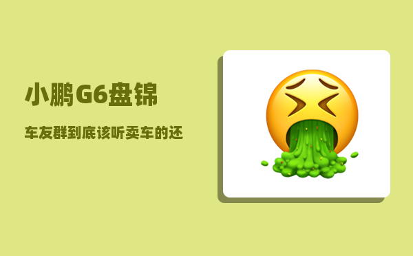 小鹏G6盘锦车友群_到底该听卖车的还是自媒体的意见-图1