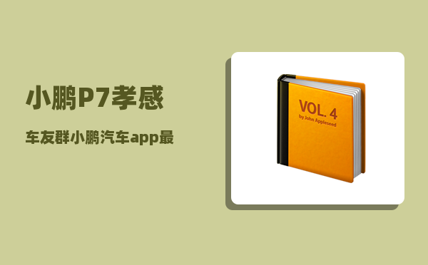 小鹏P7孝感车友群_小鹏汽车app最多绑定几个人-图1