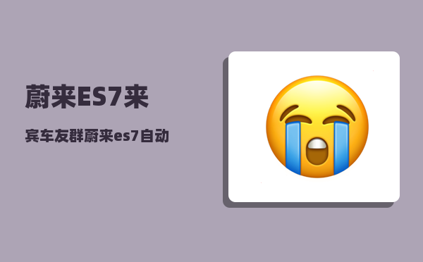 蔚来ES7来宾车友群_蔚来es7自动驾驶会超车吗-图1