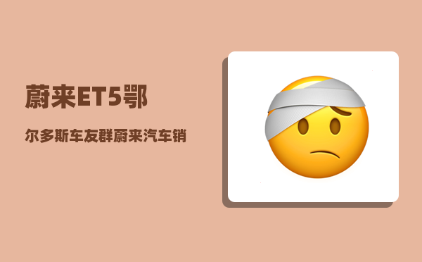 蔚来ET5鄂尔多斯车友群_蔚来汽车销售途径-图1