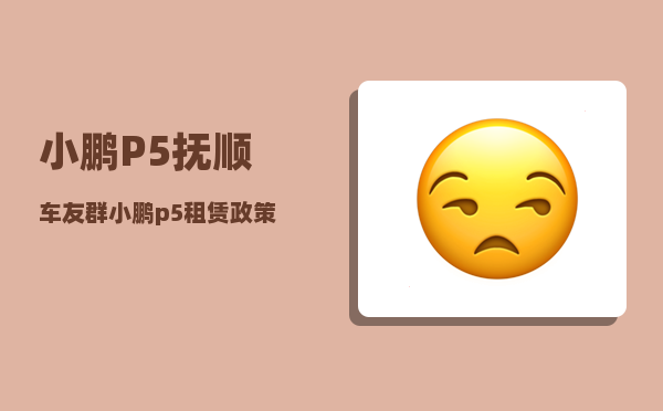 小鹏P5抚顺车友群_小鹏p5租赁政策-图1