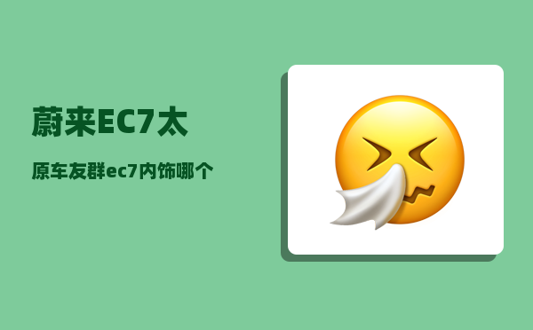 蔚来EC7太原车友群_ec7内饰哪个颜色好看-图1