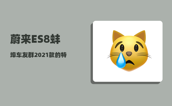蔚来ES8蚌埠车友群_2021款的特点-图1