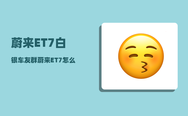 蔚来ET7白银车友群_蔚来ET7怎么熄火-图1