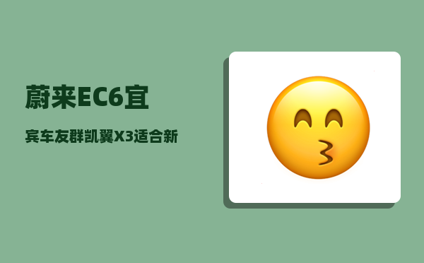 蔚来EC6宜宾车友群_凯翼X3适合新手开吗-图1