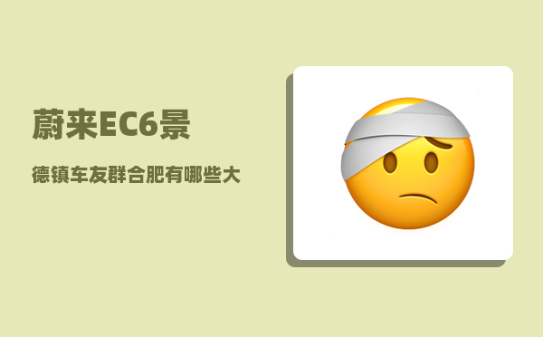 蔚来EC6景德镇车友群_合肥有哪些大型企业-图1