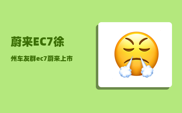蔚来EC7徐州车友群_ec7蔚来上市时间-图1