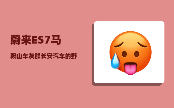 蔚来ES7马鞍山车友群_长安汽车的野心有多大-图1