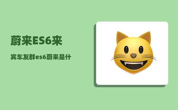 蔚来ES6来宾车友群_es6蔚来是什么厂的车-图1