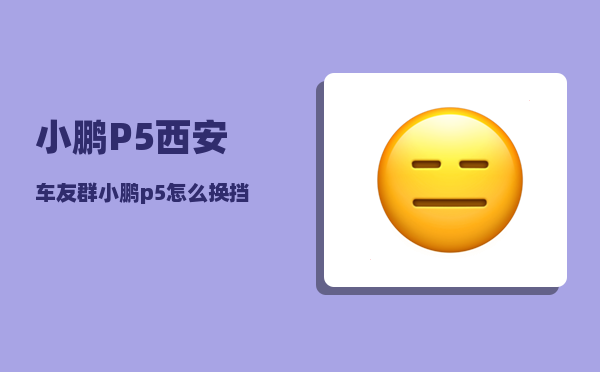 小鹏P5西安车友群_小鹏p5怎么换挡-图1