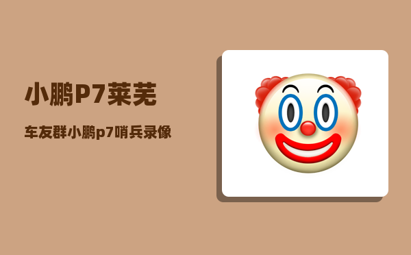 小鹏P7莱芜车友群_小鹏p7的动力电池品牌-图1