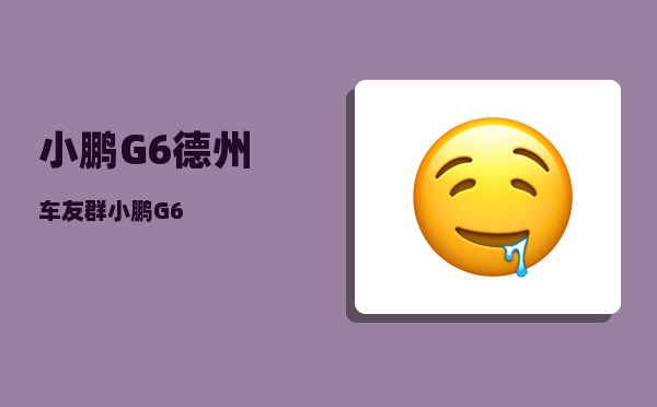 小鹏G6德州车友群_小鹏G6-图1
