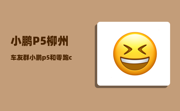 小鹏P5柳州车友群_小鹏p5启动的正确步骤-图1