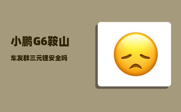 小鹏G6鞍山车友群_三元锂安全吗-图1