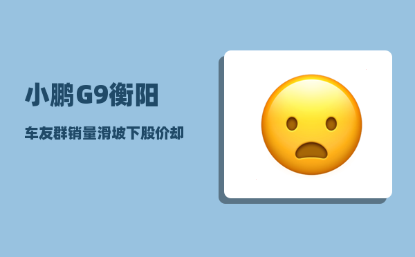 小鹏G9衡阳车友群_销量滑坡下股价却暴涨47-图1