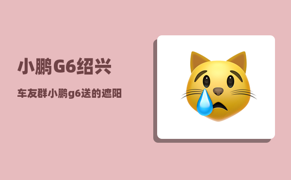 小鹏G6绍兴车友群_小鹏g6送的遮阳帘什么样子-图1