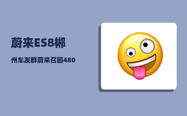 蔚来ES8郴州车友群_蔚来召回4803辆ES8新能源汽车是否还值得信任-图1