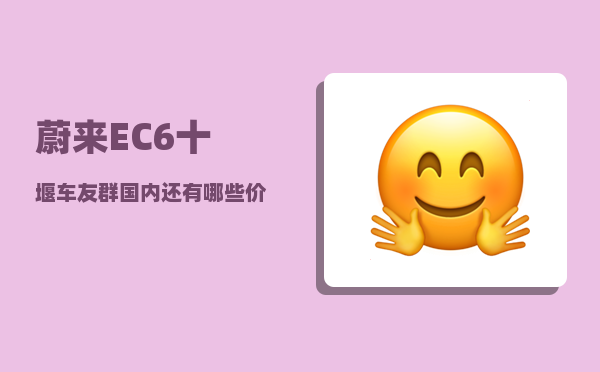 蔚来EC6十堰车友群_国内还有哪些价格比较高的车型-图1