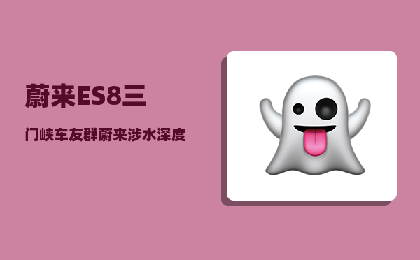 蔚来ES8三门峡车友群_蔚来涉水深度是多少-图1