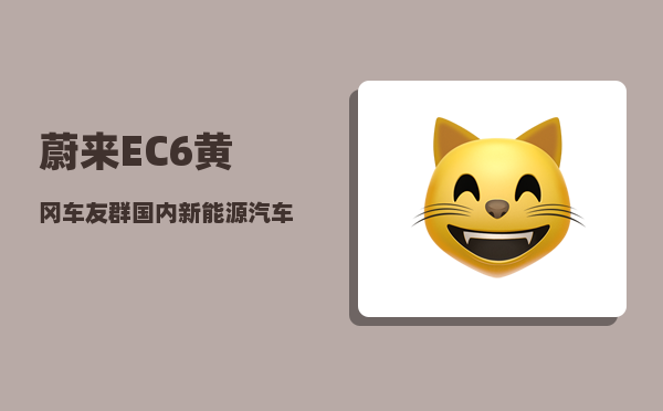 蔚来EC6黄冈车友群_国内新能源汽车有哪些品牌-图1