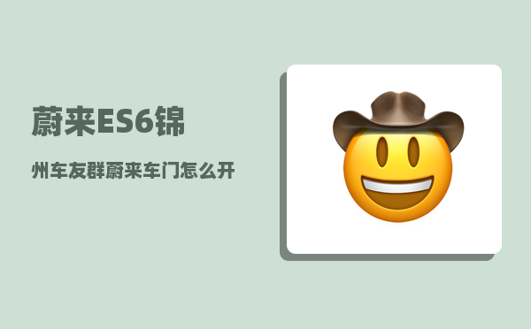 蔚来ES6锦州车友群_蔚来车门怎么开-图1