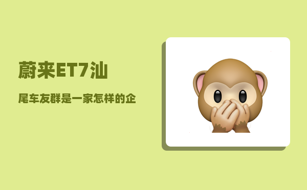 蔚来ET7汕尾车友群_是一家怎样的企业-图1