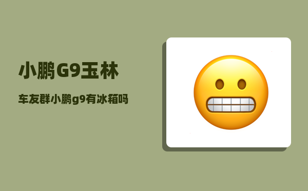 小鹏G9玉林车友群_小鹏g9有冰箱吗-图1