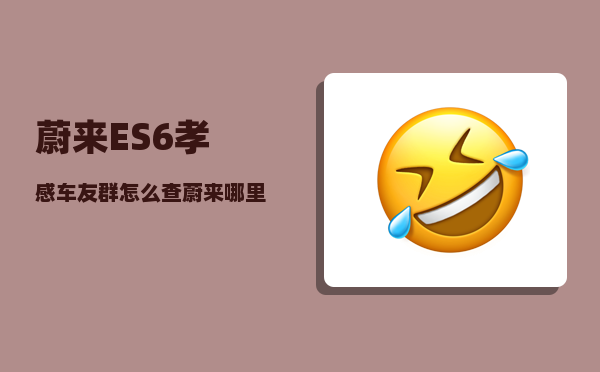 蔚来ES6孝感车友群_怎么查蔚来哪里有现车-图1