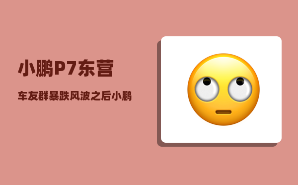 小鹏P7东营车友群_暴跌风波之后小鹏调整了什么-图1