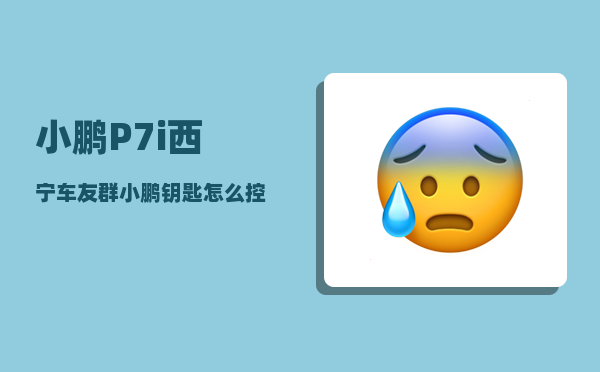 小鹏P7i西宁车友群_小鹏钥匙怎么控制前进-图1