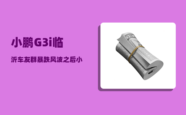 小鹏G3i临沂车友群_暴跌风波之后小鹏调整了什么-图1