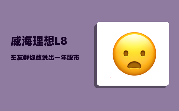威海理想L8车友群_你敢说出一年股市收益真实情况吗-图1