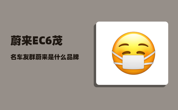 蔚来EC6茂名车友群_蔚来是什么品牌-图1