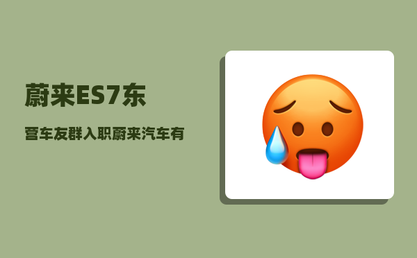 蔚来ES7东营车友群_入职蔚来汽车有前途吗-图1