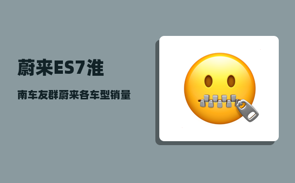 蔚来ES7淮南车友群_蔚来各车型销量-图1