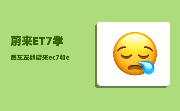蔚来ET7孝感车友群_蔚来ec7和et7哪个值得购买-图1