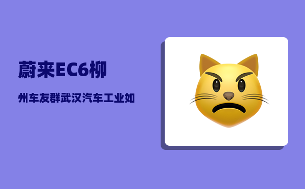 蔚来EC6柳州车友群_武汉汽车工业如何-图1