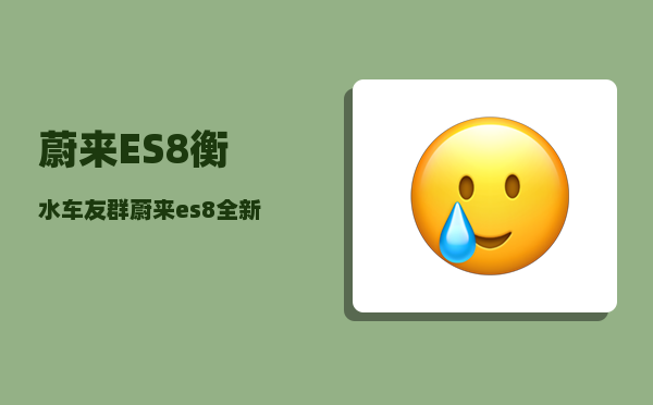 蔚来ES8衡水车友群_蔚来es8全新落地价-图1