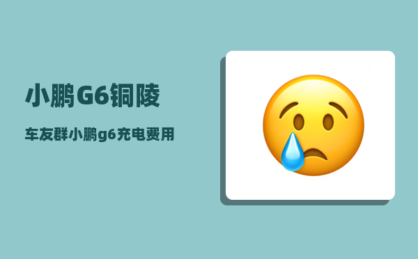 小鹏G6铜陵车友群_小鹏g6充电费用-图1