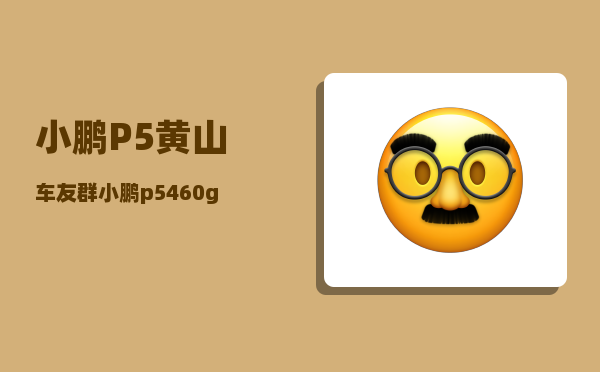 小鹏P5黄山车友群_小鹏p5460g-图1