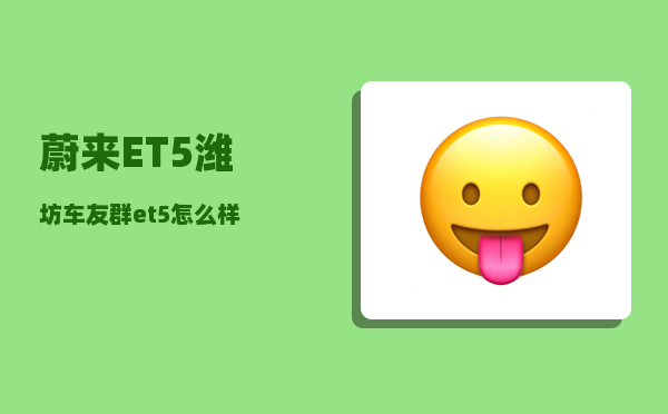 蔚来ET5潍坊车友群_et5怎么样-图1