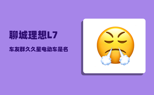 聊城理想L7车友群_久久星电动车是名牌吗-图1