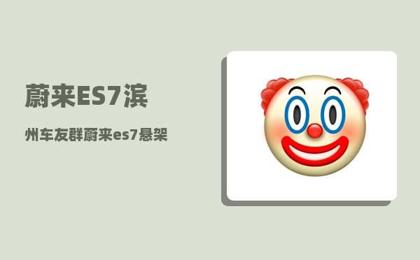 蔚来ES7滨州车友群_蔚来es7悬架设置-图1